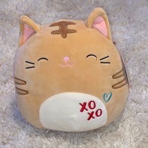 Squishmallow Nathan the Tabby cat Valentine in 8” with tags! XOXO & heart! NWT!
